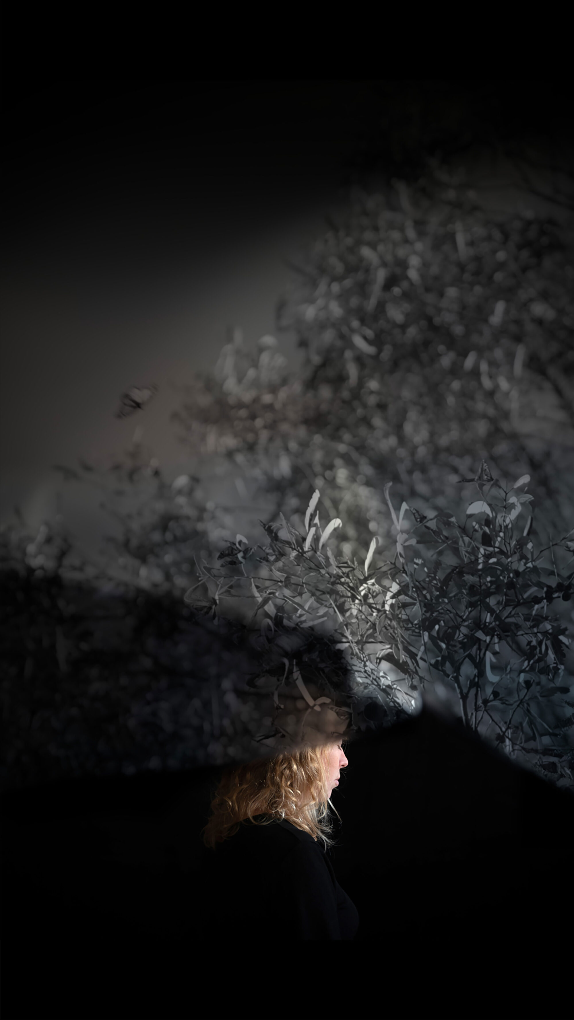 IMAGE1_LESCIMES