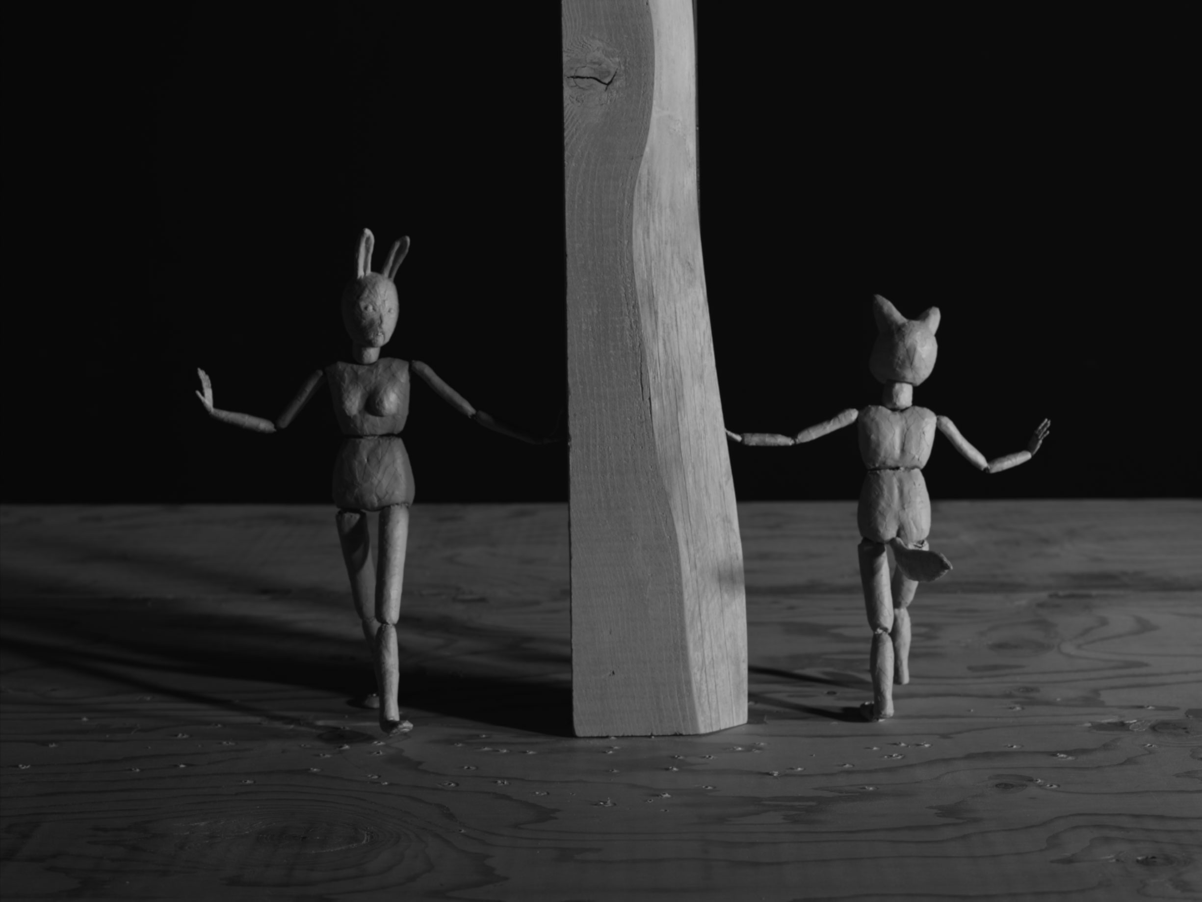 Lapin+renard