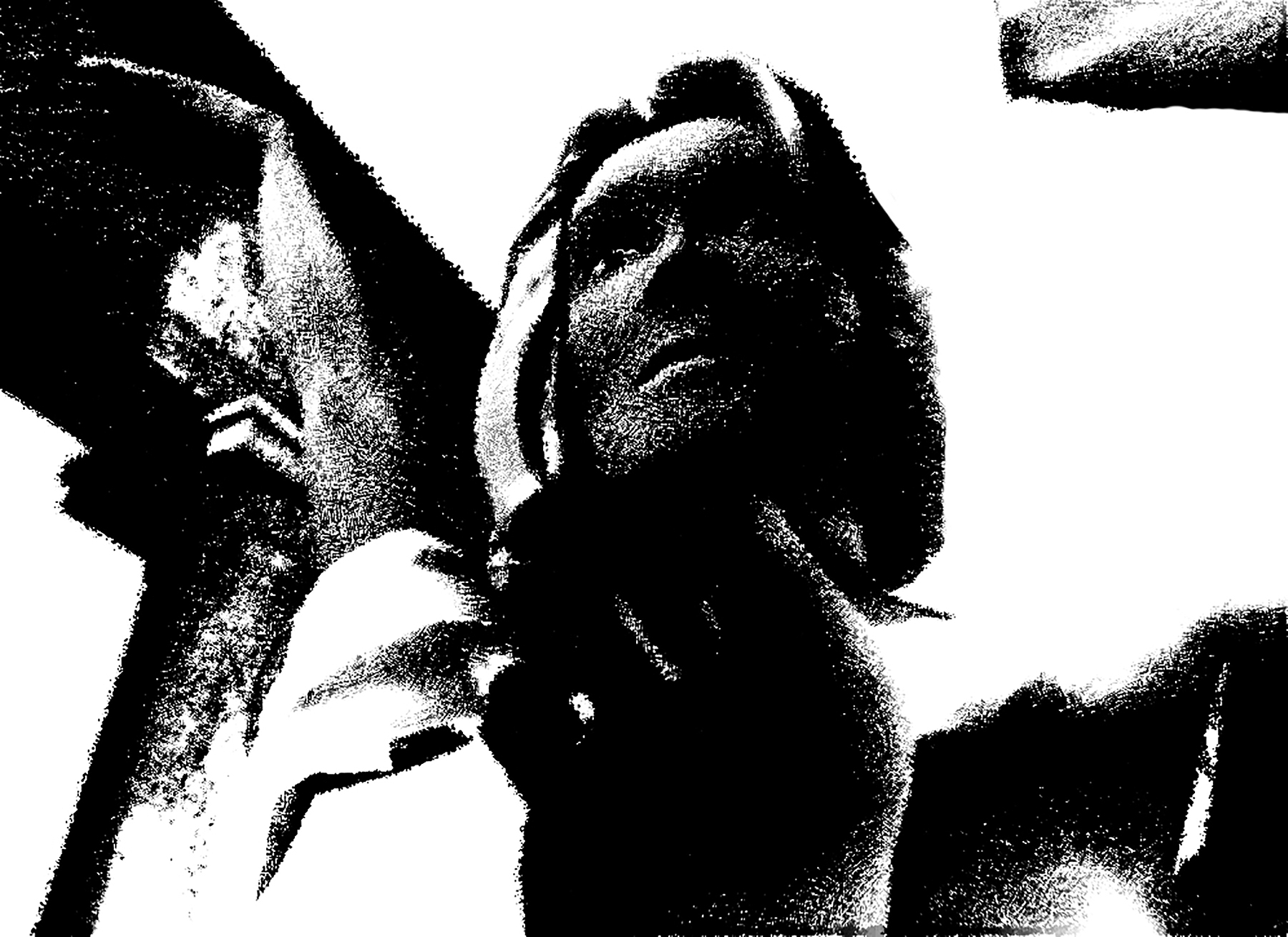 Pose_Pinscreen_04