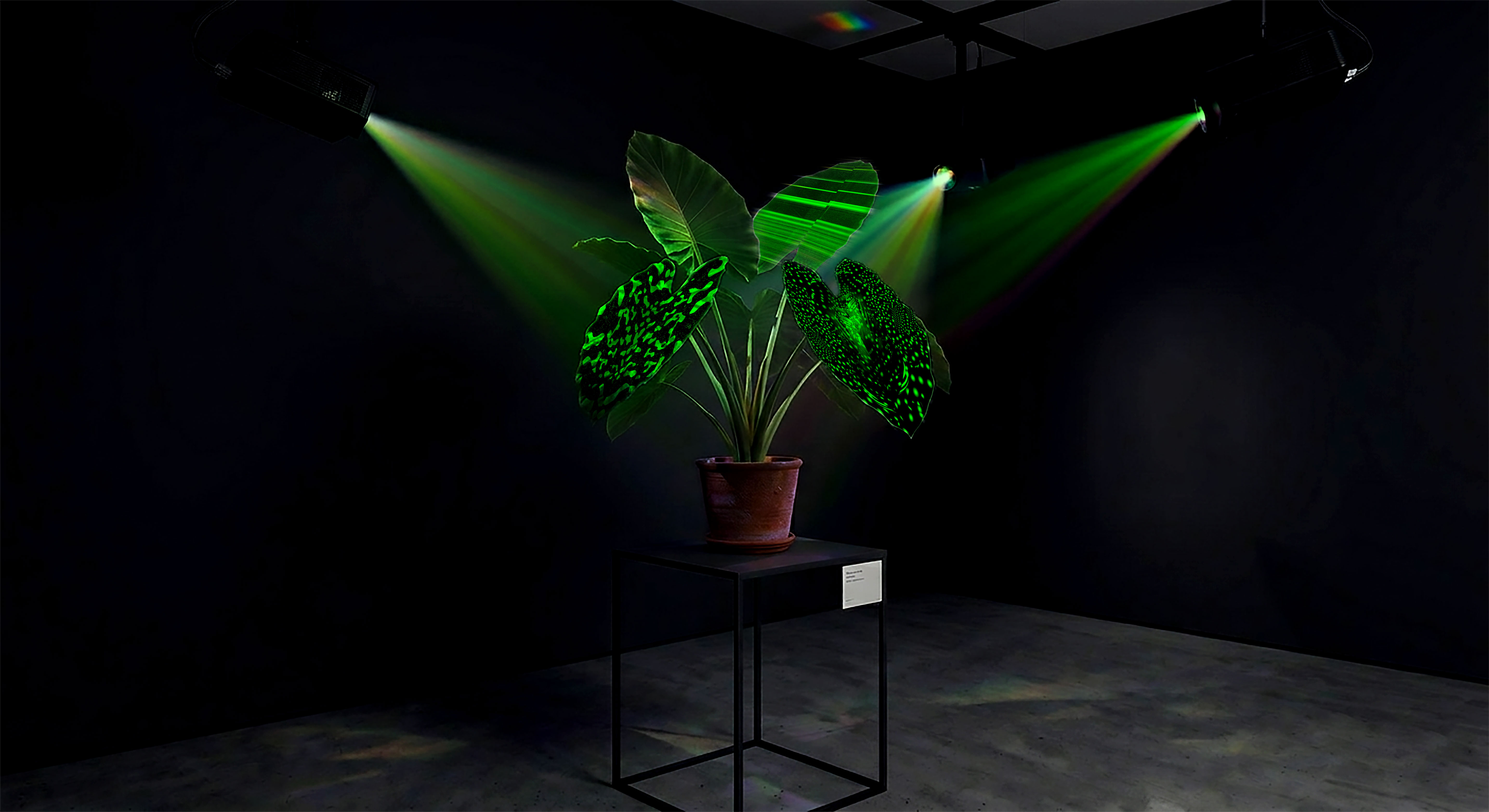 opsine-simulation-espace-01